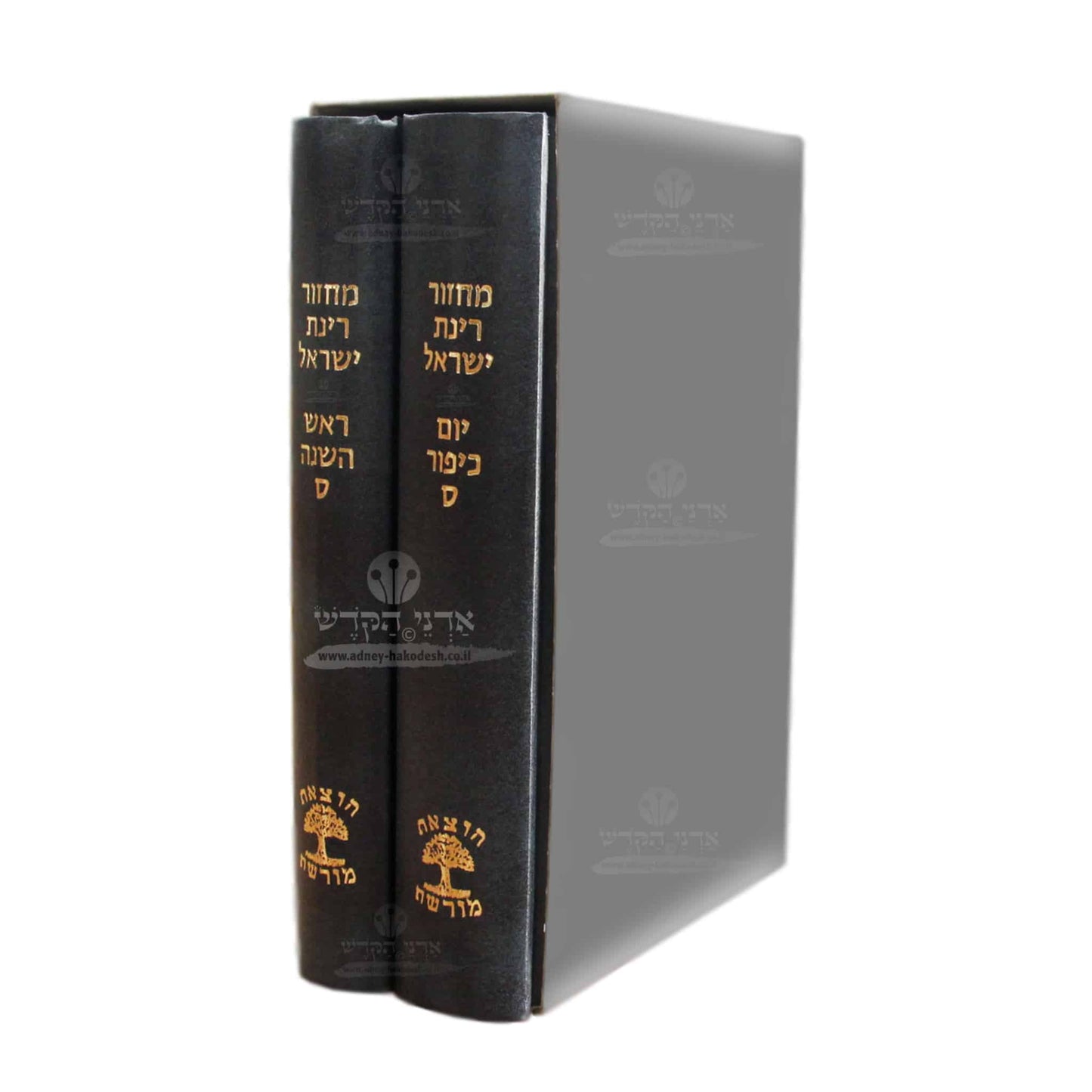 "Rinat Yisrael" Machzor Set - 2 Medium Volumes - Blue - Nusach Sefard