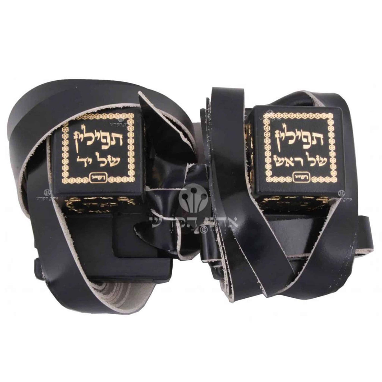 תפילין מבהמה דקה - כשרות למהדרין