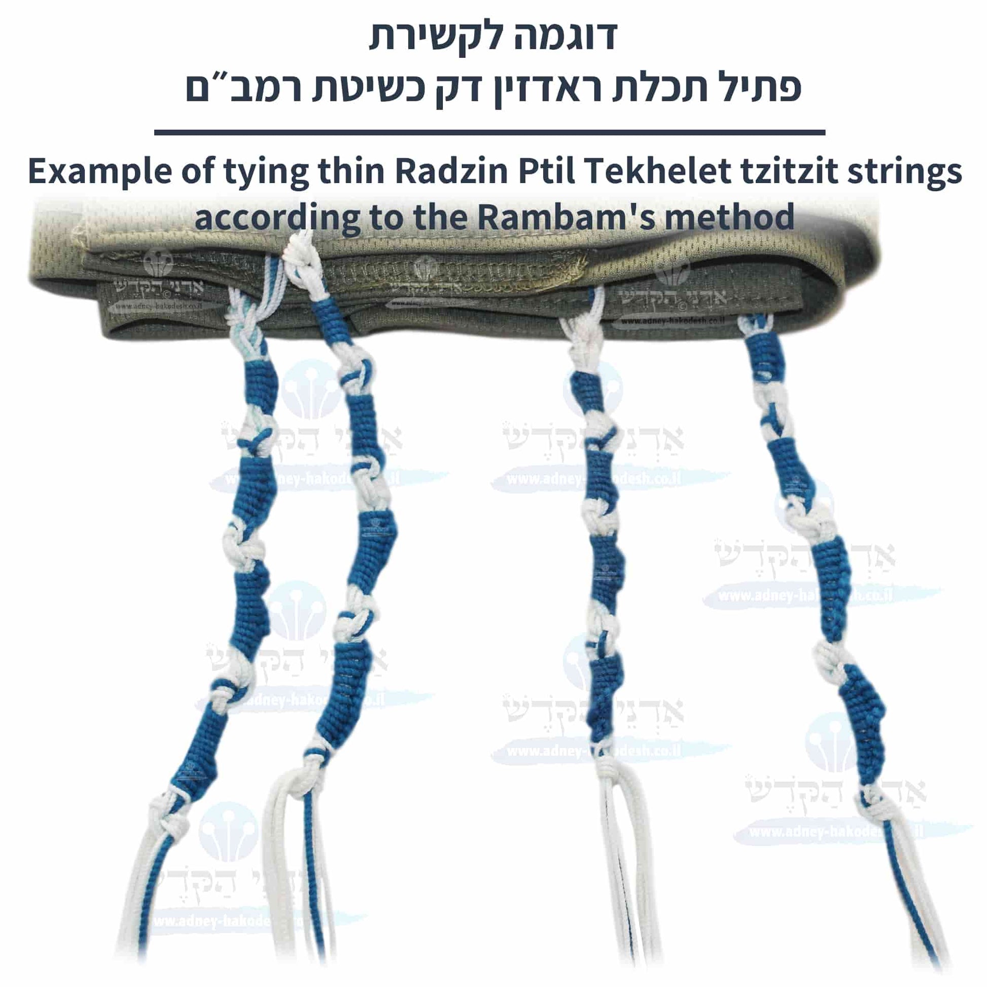 Aazon.co: Wool Radzyner Tekhelet Tzitzit Strings ade in Israel by Aazon.co: Wool Radzyner Tekhelet Tzitzit Strings ade in Israel by